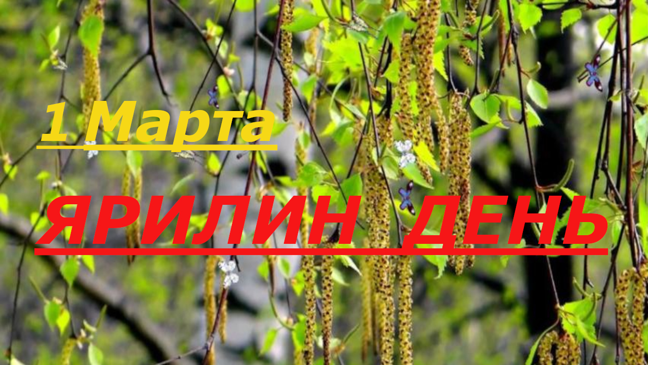 Как вёсны меж собою схожи... |  #ЯрилинДень 1Марта | Праздник прихода Весны