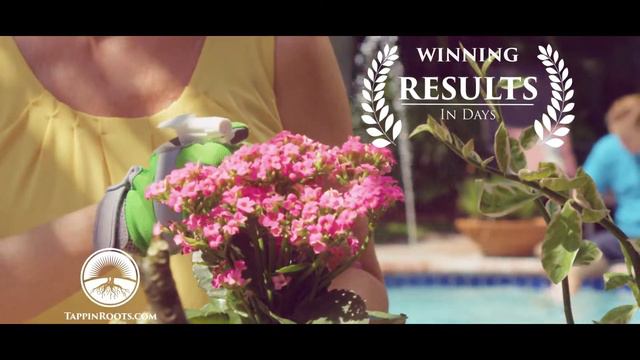 Tappin' Roots All Stages