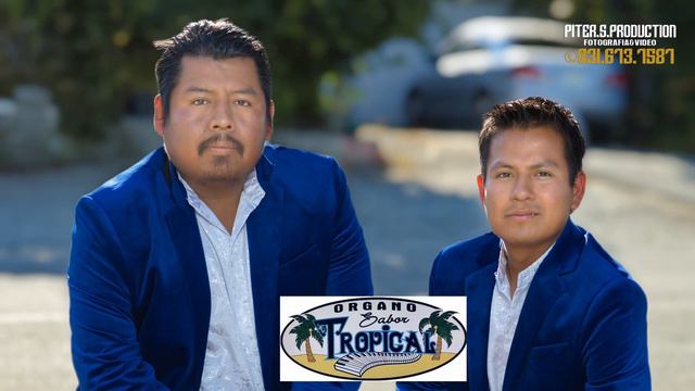 colibri, órgano sabor tropical musica totalmente en vivo, para contratación (831) 265-9115 смотреть онлайн
