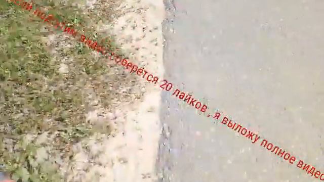 Агрессивная собака смотреть онлайн
