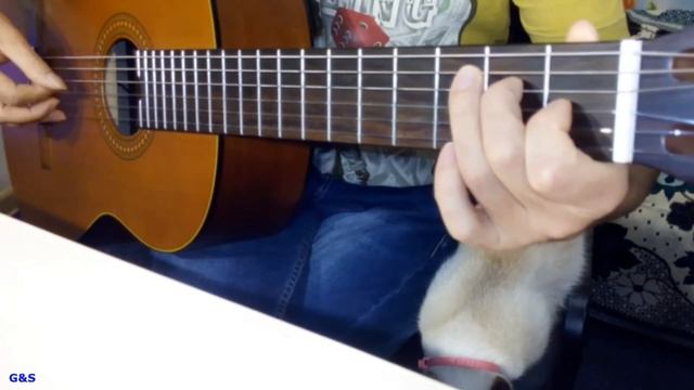 Allegro. Mauro Giuliani (Быстро и медленно) смотреть онлайн