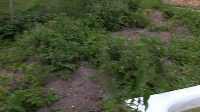 test videokamery Canon Legria hf g40 смотреть онлайн