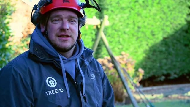 Sectional takedown of a Cedrus Atlantica смотреть онлайн