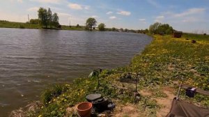 Карпы на фидер. Рыбалка на платнике, Игумное