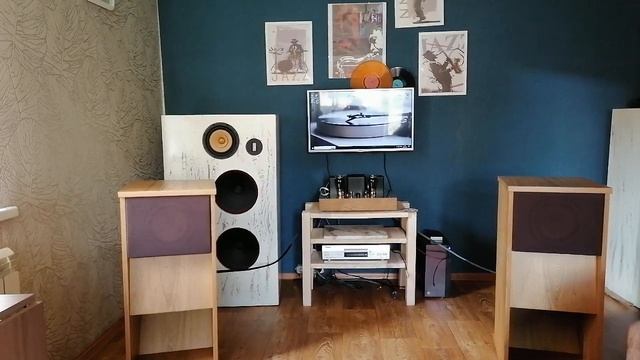 Богушевская. ШП динамики CORAL BETA-8. смотреть онлайн