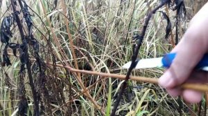 Топливный лайфхак. Как залить бензин без лейки?..