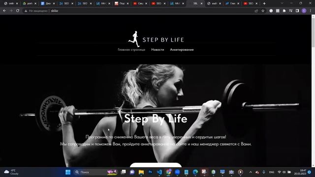 SEO-аудит - sbl.kz смотреть онлайн