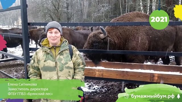 ЧАС ЗЕМЛИ с Бумажным БУМом: заповедник Брянский лес смотреть онлайн