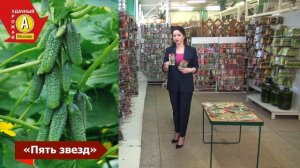 Ультраранний Огурец «5 звезд»