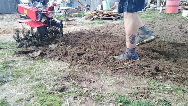 Готовы к труду и огороду ? Тестируем мотоблок BRAIT BR - 80 смотреть онлайн