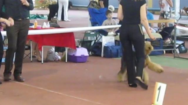 ARIAN JISE Юза Берадзе смотреть онлайн