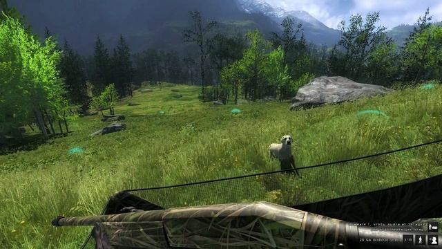 the Hunter - Европейский кролик [Основы охоты] #6 смотреть онлайн