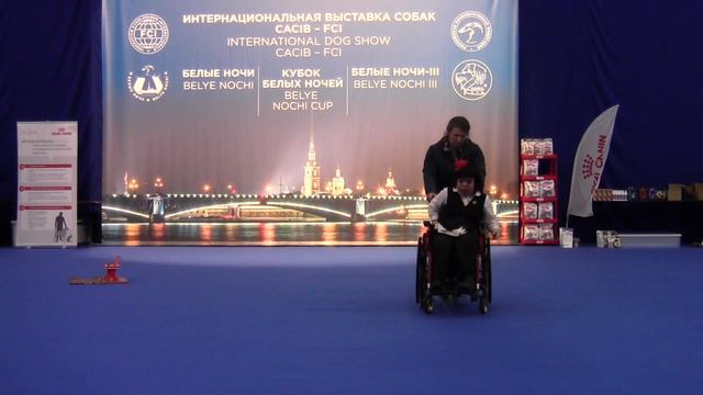 Para Dance Иванова Ксения и цвергшнауцер МИНИ_МАКСИ_МАЙЯ смотреть онлайн