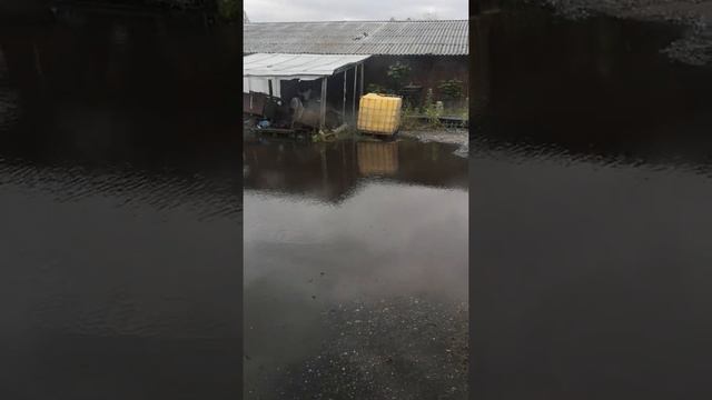 видео не будет 12 дней( смотреть онлайн