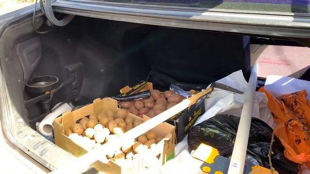 #171 КУПИЛИ ДОМ НА ЮГЕ. Первая закладка яиц в инкубатор. Посадили картошку / Переезд в деревню