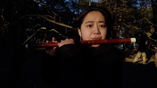 Bamboo flute (Chinese music)竹笛 смотреть онлайн