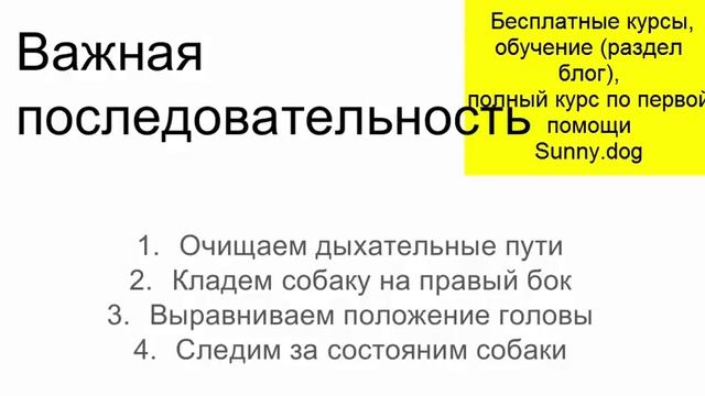 Экстренная помощь собаке. Как реанимировать собаку? смотреть онлайн