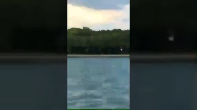 "НЕ МЕЧИТЕ БИСЕР ПЕРЕД СВИНЬЯМИ..." БЫДЛО ОБЩЕСТВО и СПОРТ (БЕГ в ВЕНЕЦИИ~) смотреть онлайн