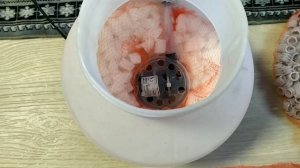 Самый бюджетный внешний фильтр для аквариума своими руками от А до Я.