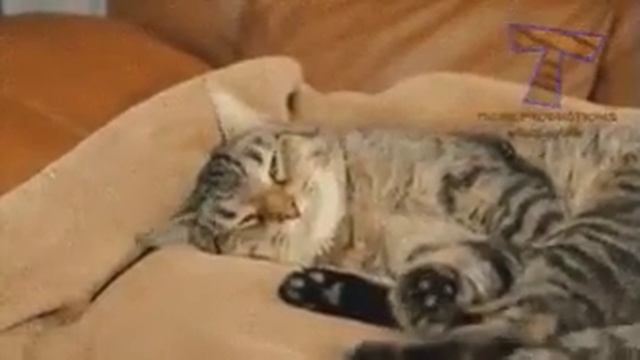 Когда приснился кошмар...