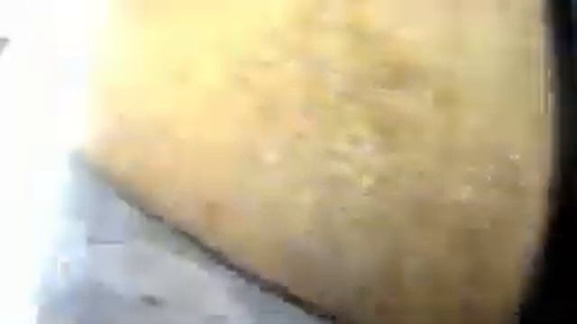 Взгляд на жизнь с глазами мопса смотреть онлайн