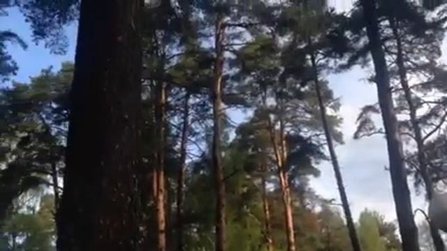 Браслав смотреть онлайн