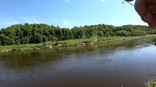 Как ловить крупного Голавля и Жереха на Угре? В этом ролике всё предельно понятно. смотреть онлайн