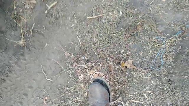 Дохозяйнувався.Сапожник без сапог. смотреть онлайн