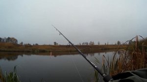 Рыбалка в Воронежской области. Ловля щуки на спиннинг в октябре.