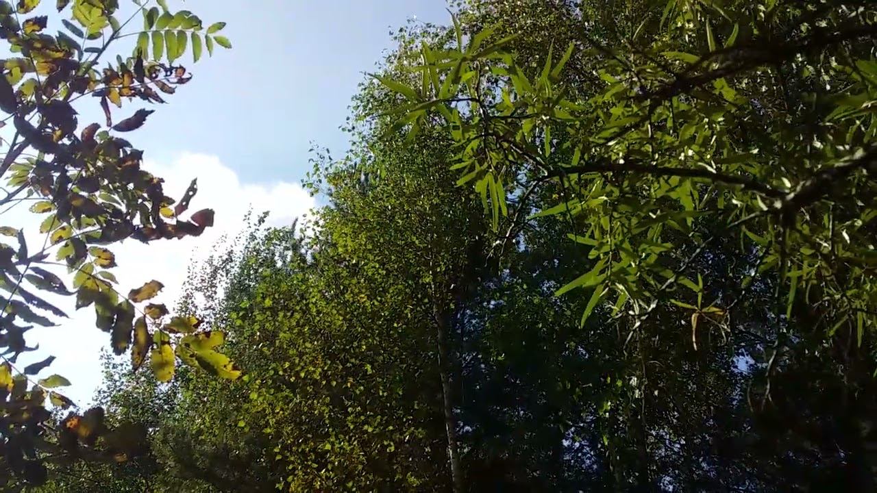 Последний день лета...