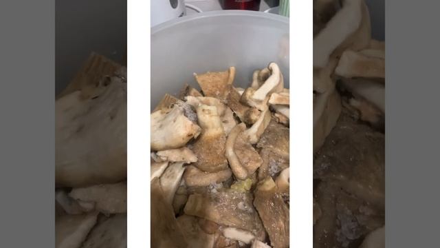 Посол белого груздя холодным (сырым) способом смотреть онлайн