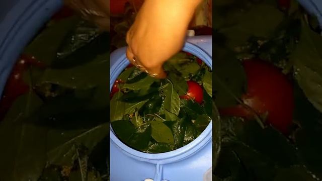 Рецепт помидоров