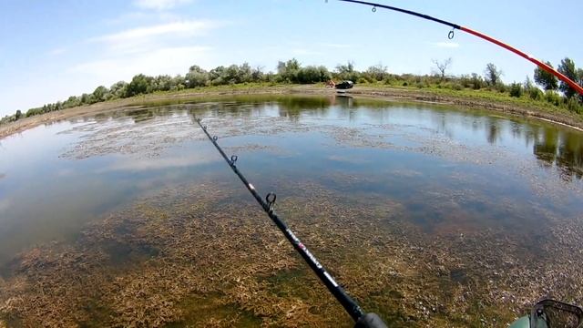 ПОКЛЁВКА ЗМЕЯ ЗА ПОКЛЁВКОЙ / ЧАСТЬ 2 / ЛОВЛЯ ЗМЕЕГОЛОВА НА СПИННИНГ смотреть онлайн