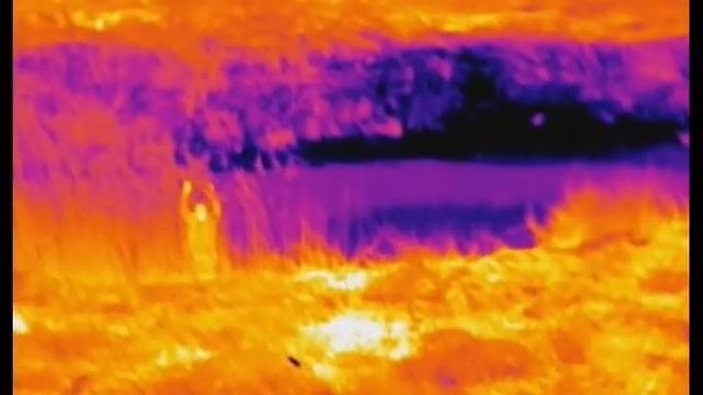 Search and Rescue Mission with Thermal Camera on Drone смотреть онлайн