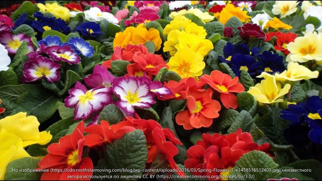 нормальная история смотреть онлайн