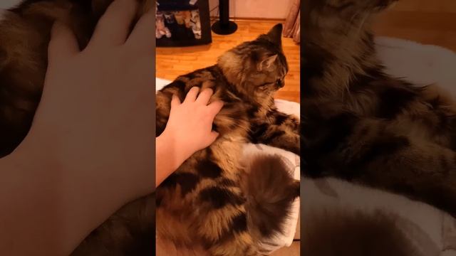 Признайтесь, вы тоже так делаете?))