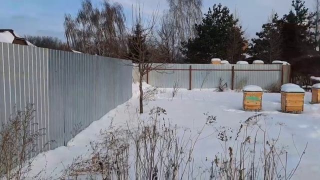 Организация пасечного хозяйства на жилом участке в отсутствии зимовника и подсобных помещений смотреть онлайн