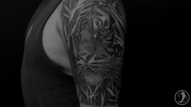 Tattoos by Daniel Delfin смотреть онлайн