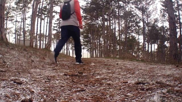 Находясь в лесу ты обретаешь - гармонию в душе . смотреть онлайн