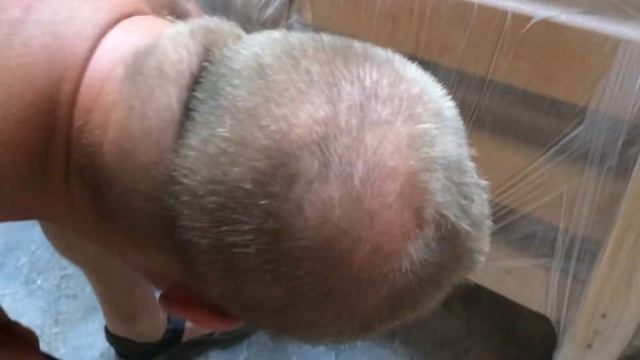 Как избавиться от шершней смотреть онлайн