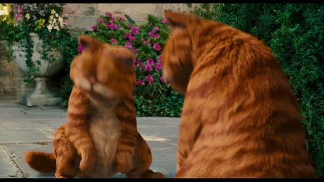 Гарфилд встречает Гарфилда?! | Гарфилд 2 (2006) | Di Cartoons Moments
