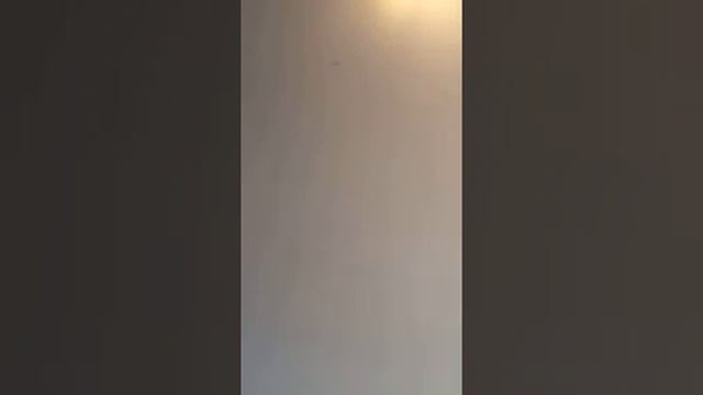 Shanon aster смотреть онлайн