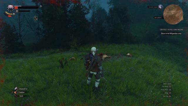 Who Needs Diablo IV? (Advanced Next-Gen Camera+Friendly Meditation+Random Encounters Reworked) смотреть онлайн