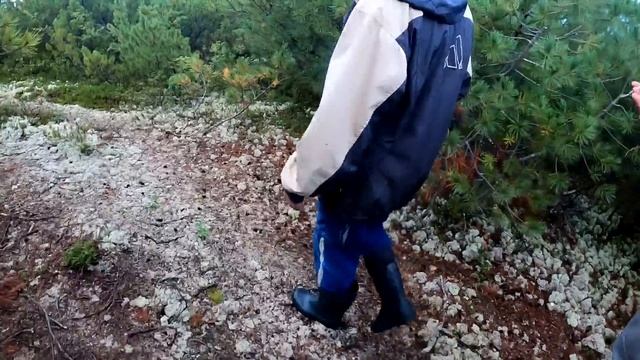 Браконьеры кинули браконьеров/Памятник природы смотреть онлайн
