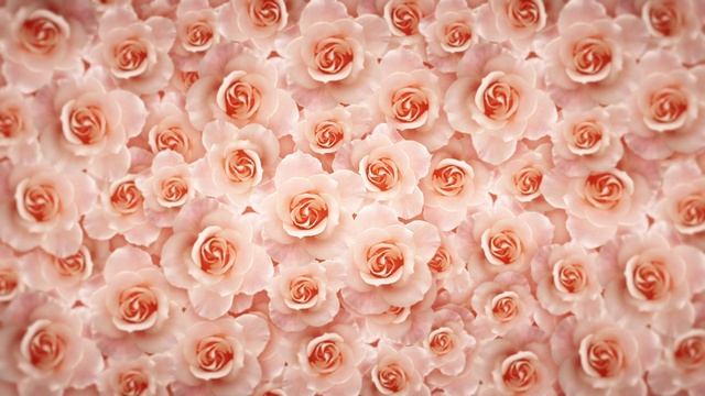 4K Romantic Rose Flower Video Background || Love,Romantic,Wedding motion video Background loop смотреть онлайн