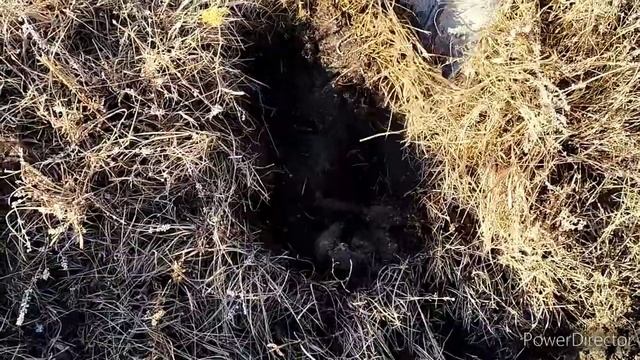 копаем металл с металлоискателем MD4030