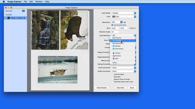 How to Scan on a Mac using the Image Capture App! смотреть онлайн