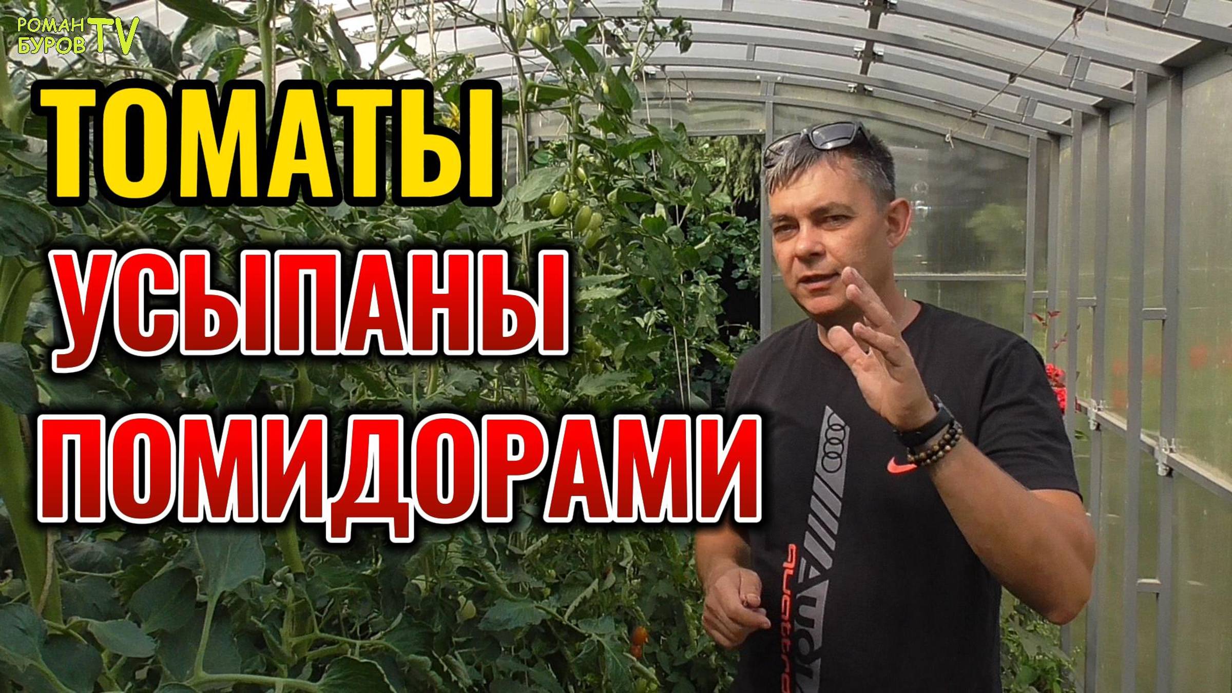 🚫🍅 Забудьте о Болезнях Томатов: Мощная Защита и Подкормка для Богатого Урожая без Нитратов! смотреть онлайн