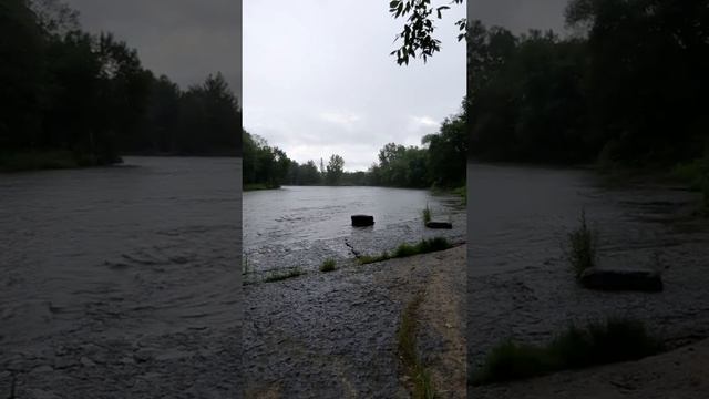 Mon boulevard. смотреть онлайн