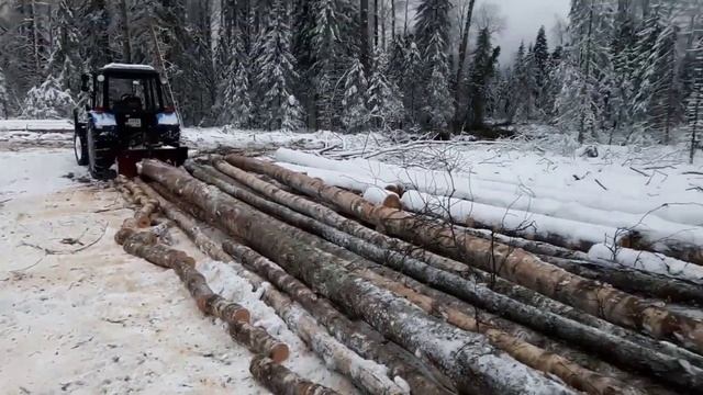 МтЗ-82.1 (балка)- сила.Еду показывать делянку наемной бригаде. смотреть онлайн